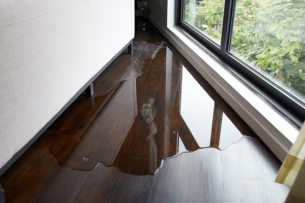 Water Mitigation & Remediation | bioPURE™ professionals